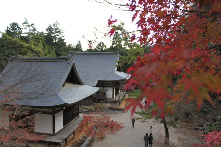 c0178561_22564197.jpg
