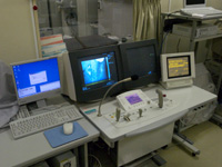 c0198263_9533260.jpg