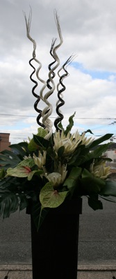 e0149863_845090.jpg