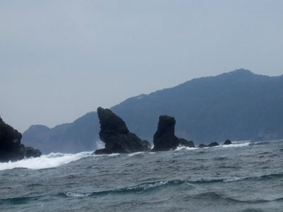 サンゴのモニタリング_b0033573_22305854.jpg