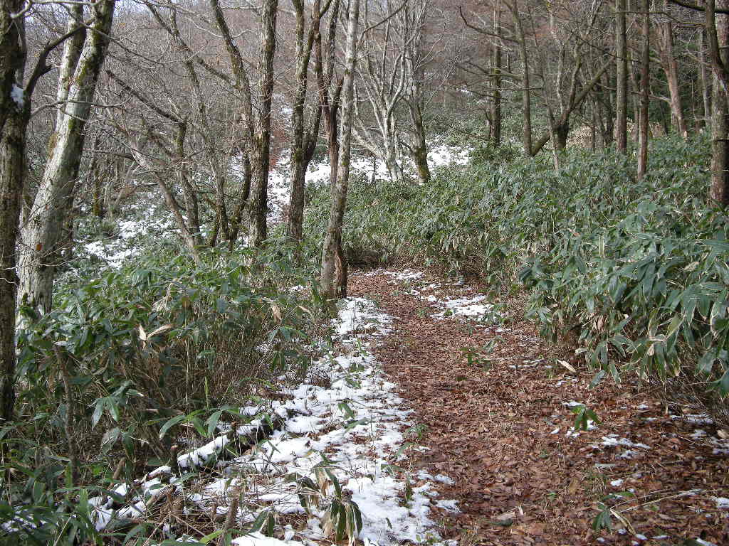 名残の紅葉・滝・雪の泉山_b0185573_20312575.jpg