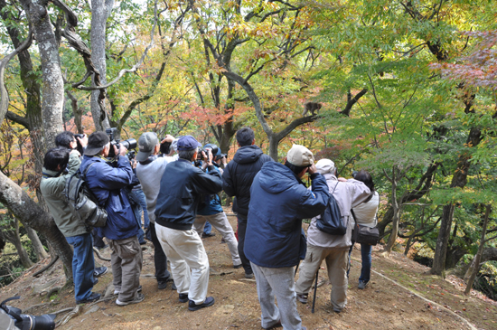京都に行ってきました_e0171573_16205342.jpg