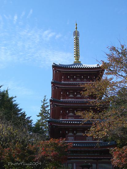b0078874_22563436.jpg