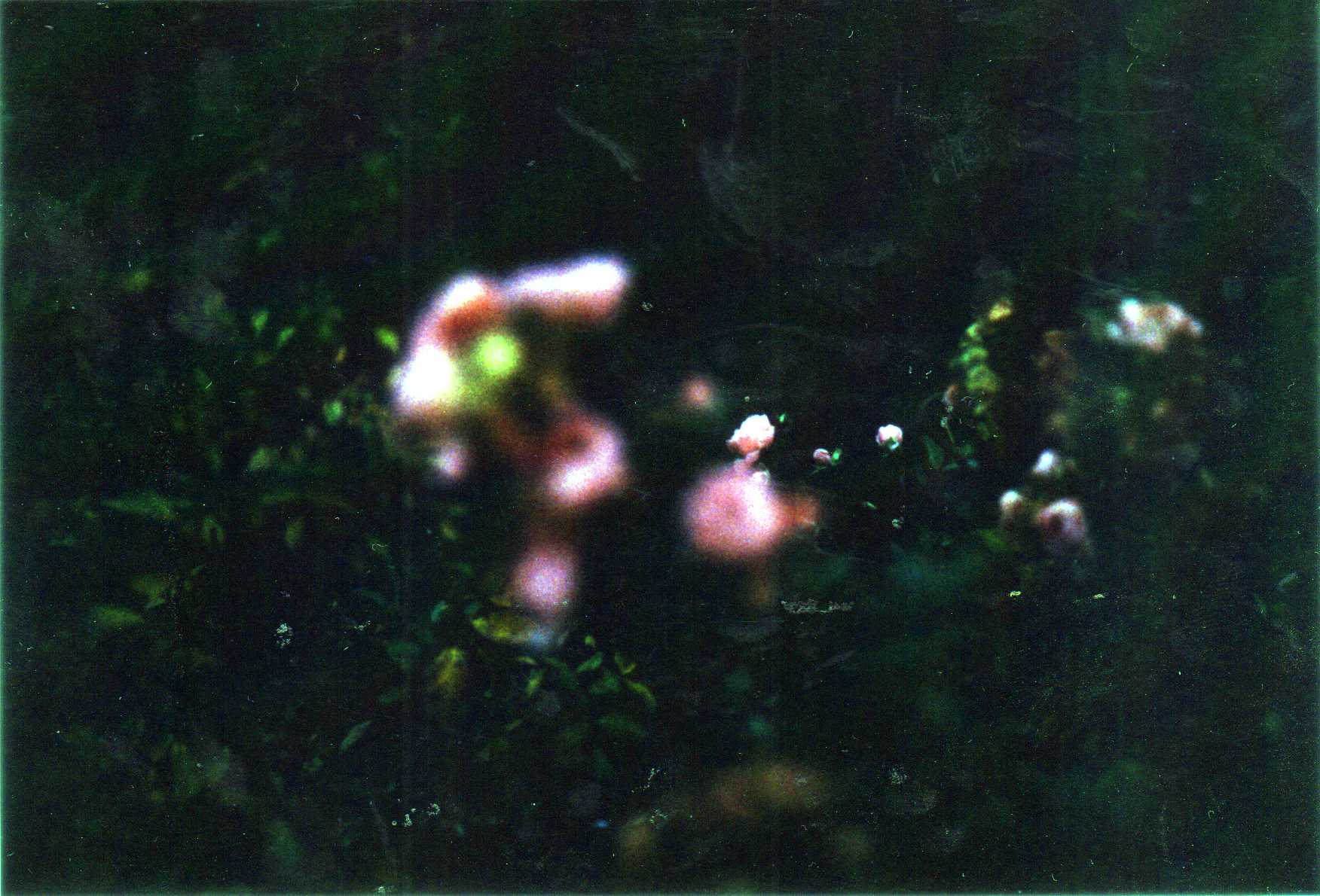 d0084677_8253351.jpg