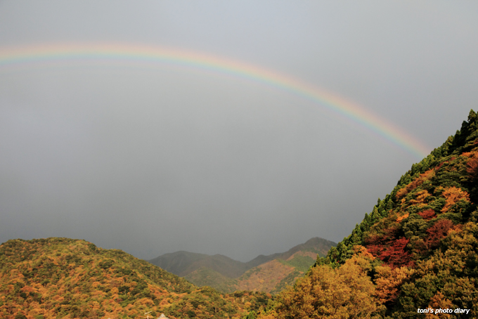 竜ヶ岳を歩く_c0098182_2303474.jpg