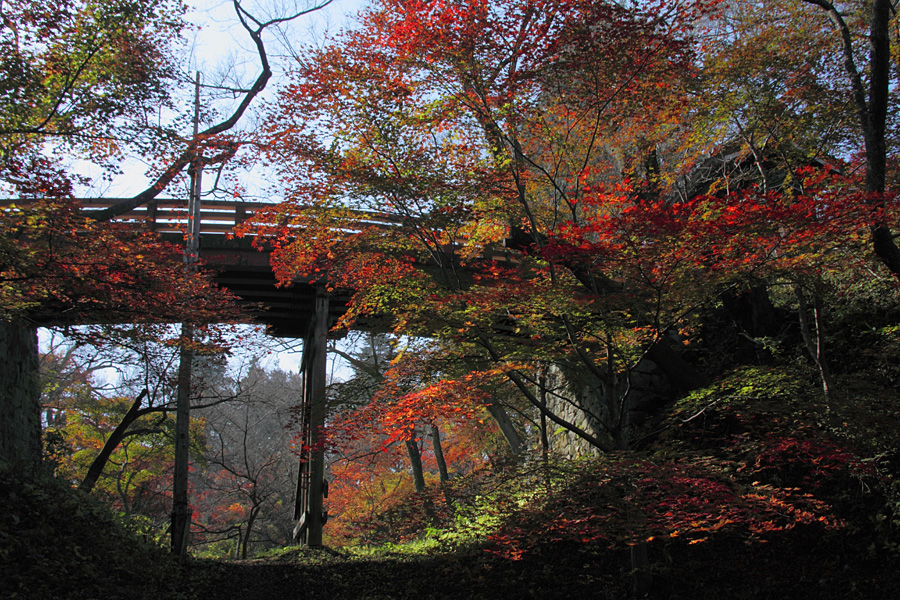 09.10.31：入笠山から高遠城跡、出早公園、阿弥陀寺へ３_c0007190_1848112.jpg