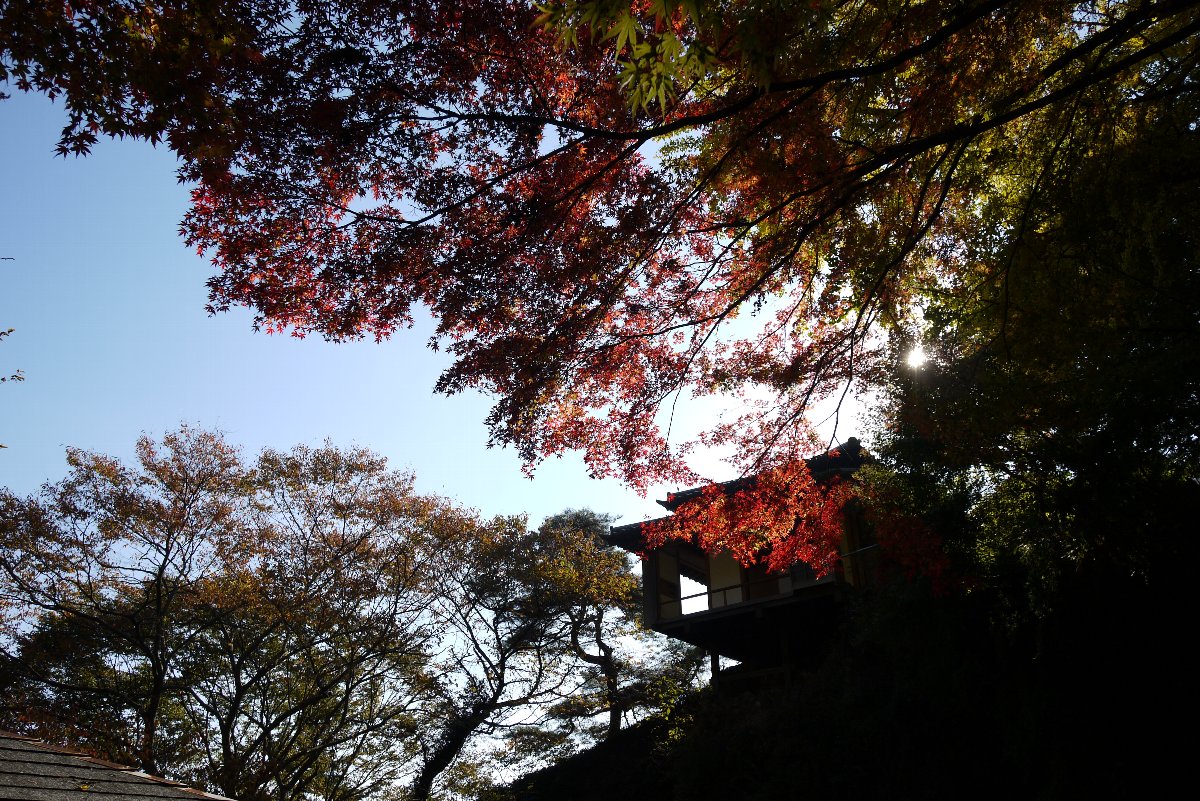 c0124795_22325842.jpg