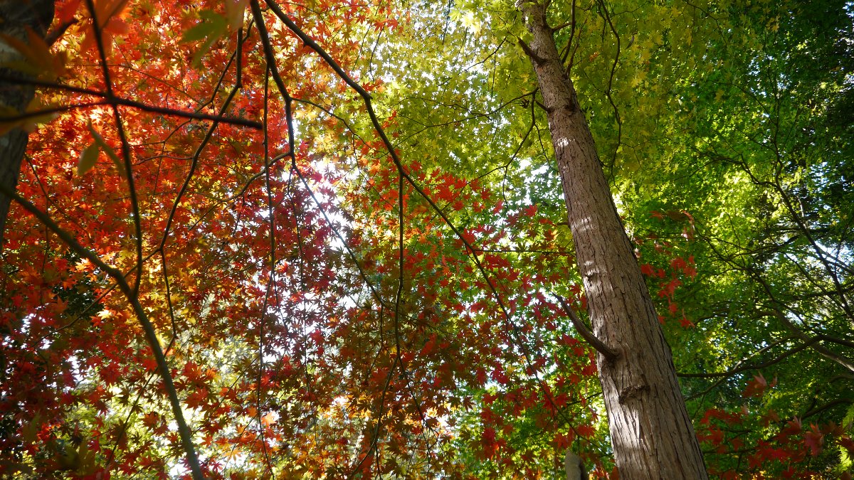 c0124795_22342440.jpg