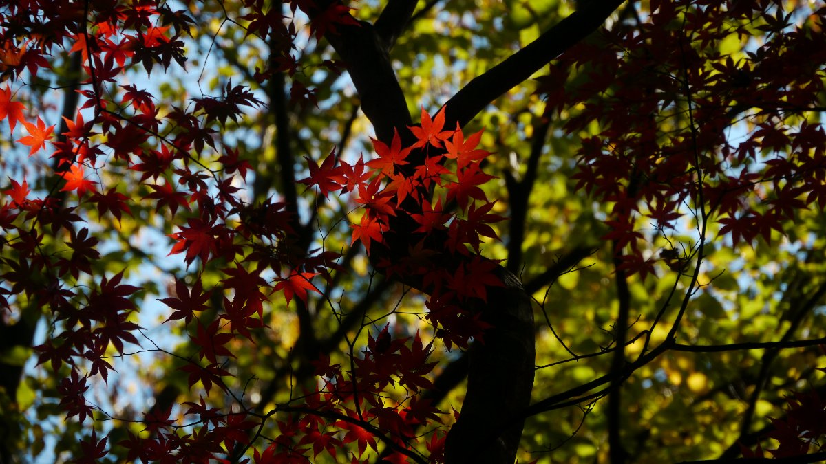 c0124795_22344622.jpg