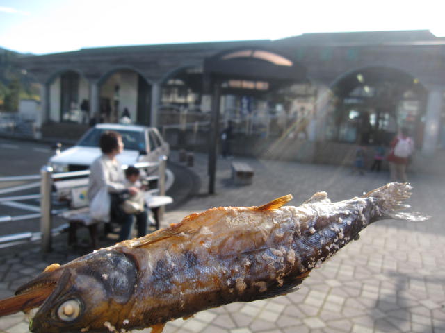 c0133096_2352360.jpg