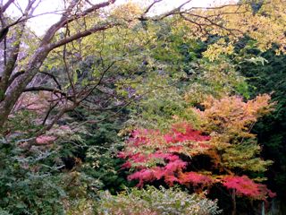 シングルで行こう！　箱根旧道編_d0010496_22272071.jpg