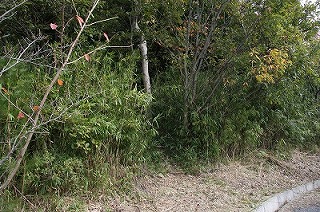 c0212298_19124210.jpg