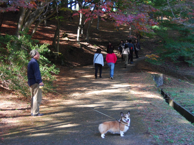 修善寺の紅葉は?_f0101201_21545947.jpg