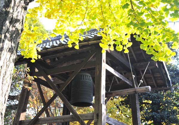 a0044202_1746527.jpg