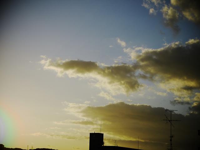 傍に居るだけで。。_c0198903_1743585.jpg