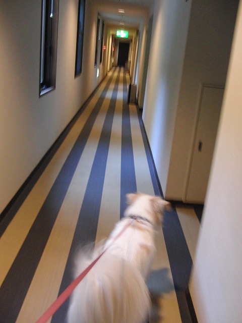 a0032004_2242783.jpg