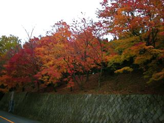 b0183911_23103132.jpg