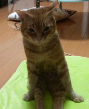 おはようございます。_f0178313_7214741.jpg