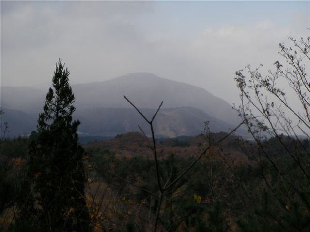 杭城山と座禅堂山・晩秋時雨の里山へ……(^.^)_a0127015_10473447.jpg