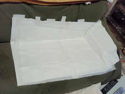c0145016_005371.jpg