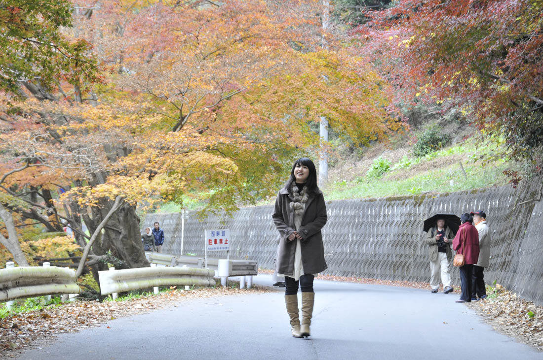 鎌北湖 紅葉まつり もみじまつり お気楽 日記 鎌北湖 紅葉まつり もみじまつり お気楽 日記
