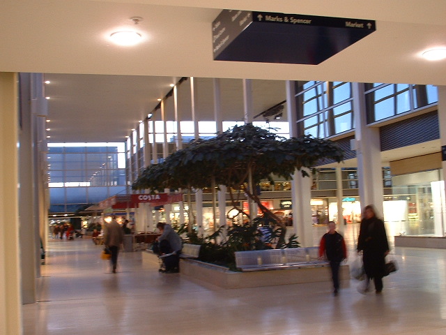 a0053631_22274877.jpg