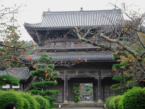 萩_c0077531_22363970.jpg