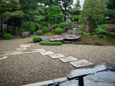 萩_c0077531_23153166.jpg