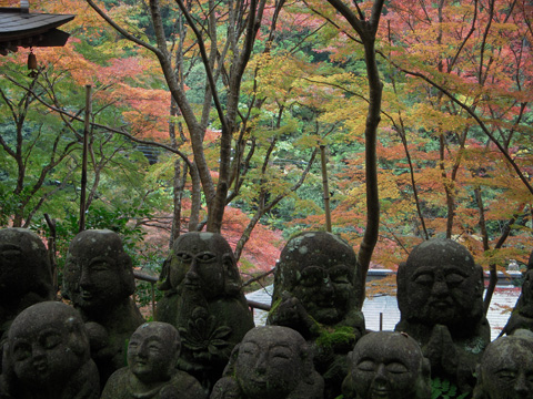嵯峨野_c0077531_23595032.jpg
