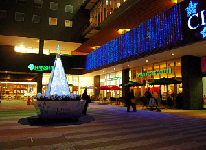 d0017632_18452733.jpg