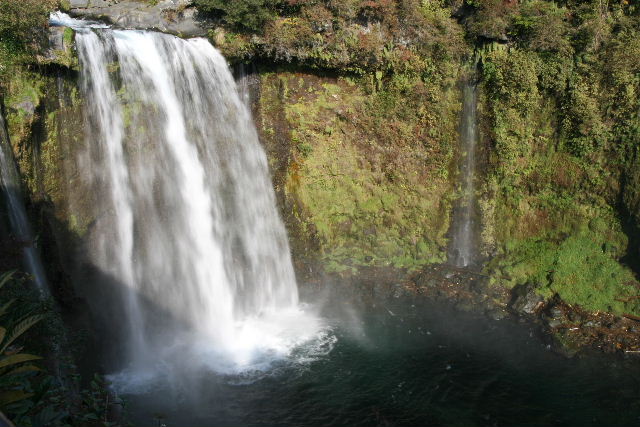 e0064133_14366.jpg