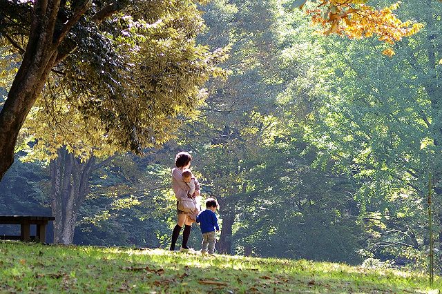 秋の樹木公園・・・白山市_d0043136_1143338.jpg