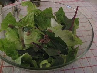 e0113040_19413017.jpg