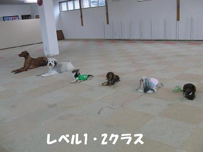 f0186040_22472645.jpg