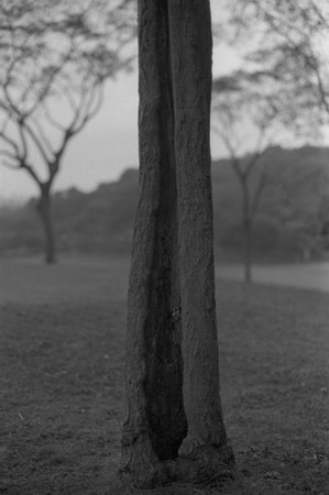 c0058941_171235100.jpg