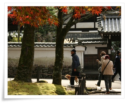サイの近況と 遅ればせながらの紅葉_c0049950_8404681.jpg