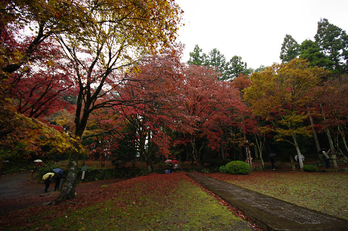 f0152550_17431952.jpg