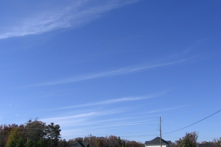 b0178155_1311116.jpg