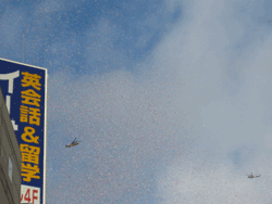 b0159557_2015567.gif