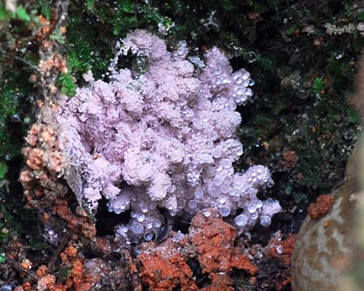 e0035757_16341357.jpg
