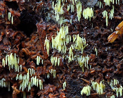 e0035757_1637251.jpg