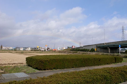 a0083760_1545416.jpg