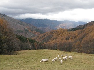 清水牧場で極寒のピクニック_f0007061_2334492.jpg