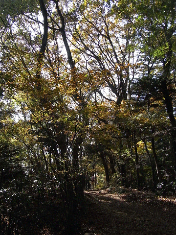 c0158464_3162884.jpg