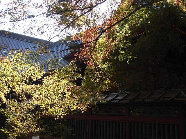 c0158464_326377.jpg