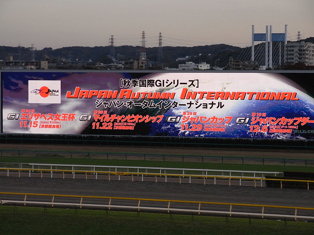 c0158464_839037.jpg