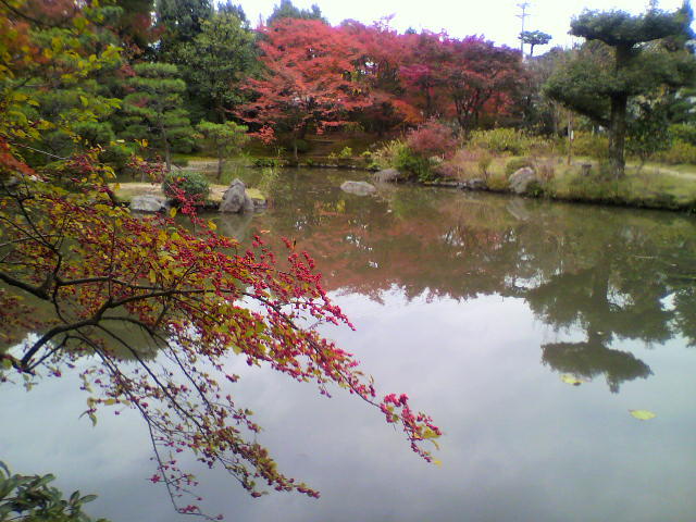 c0018666_15343424.jpg