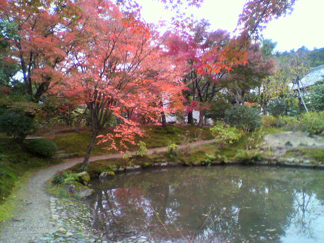 c0018666_15343432.jpg