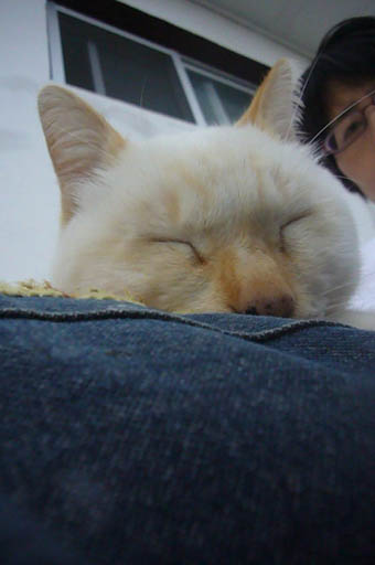selfish._c0153966_2253397.jpg
