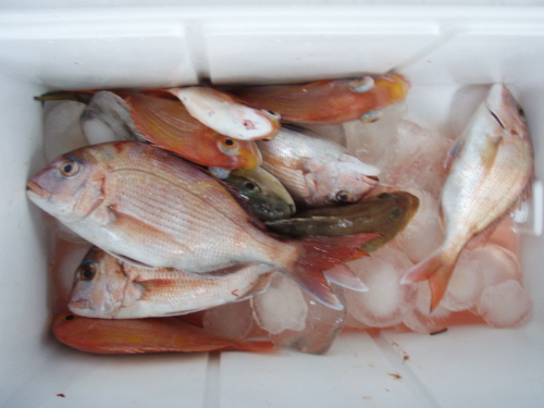 2009秋季釣り大会(いまり)_a0077071_1648670.jpg